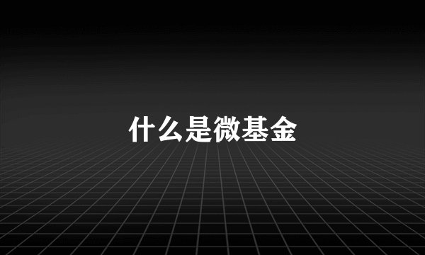 什么是微基金