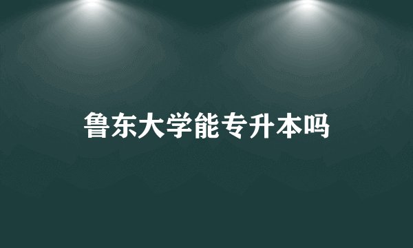 鲁东大学能专升本吗