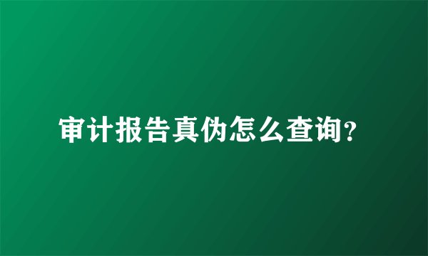 审计报告真伪怎么查询？