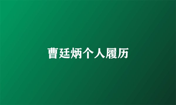 曹廷炳个人履历