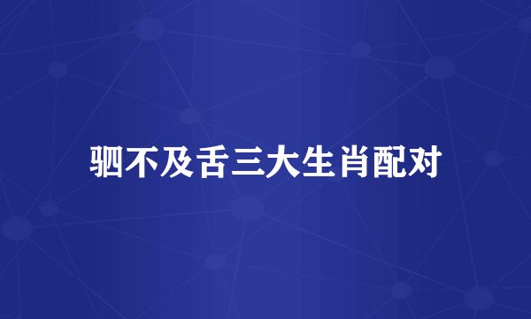 驷不及舌三大生肖配对