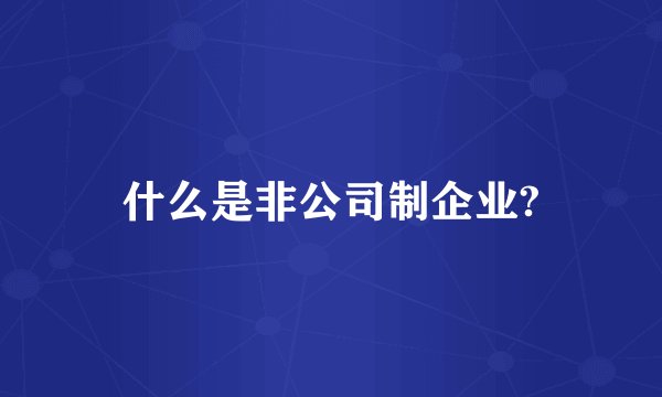 什么是非公司制企业?