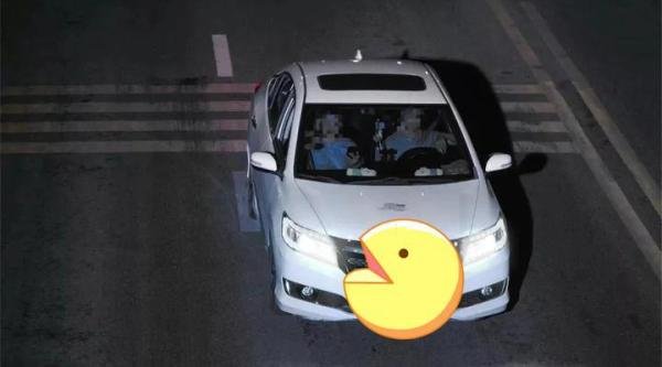 浙江嘉兴3人嘴馋上树偷摘84斤水蜜桃被拘 网友：以为自己是悟空啊