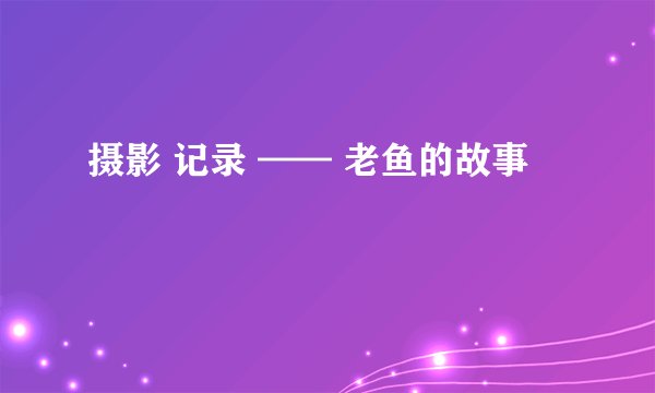 摄影 记录 —— 老鱼的故事