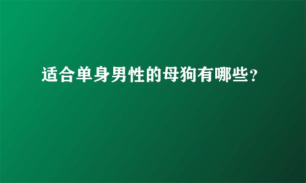 适合单身男性的母狗有哪些？