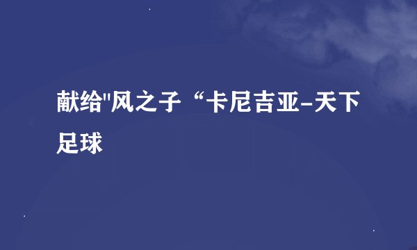 献给