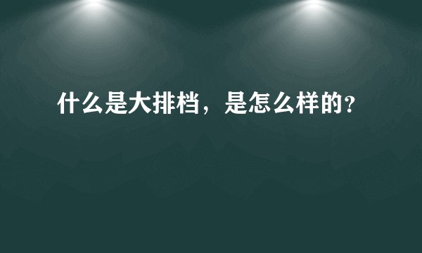 什么是大排档,是怎么样的?