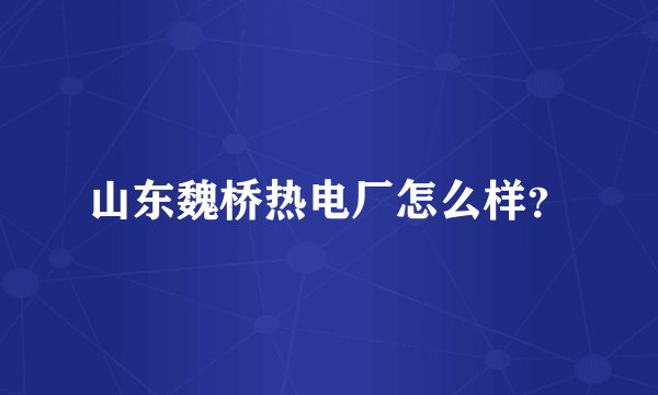 山东魏桥热电厂怎么样？