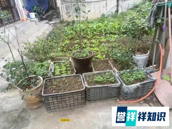 正月初六是“凶日”,切记:1不结、3不用、6不出,看老人家咋说