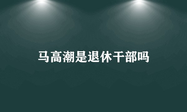 马高潮是退休干部吗