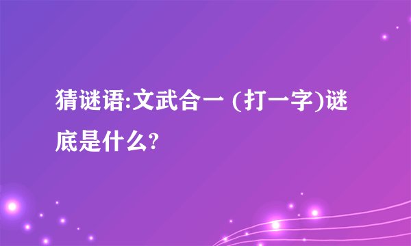 猜谜语:文武合一 (打一字)谜底是什么?