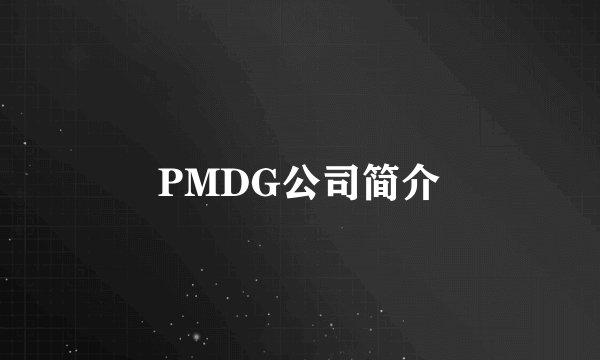 PMDG公司简介