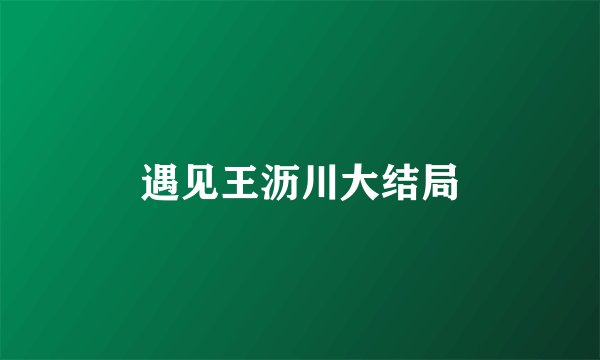 遇见王沥川大结局