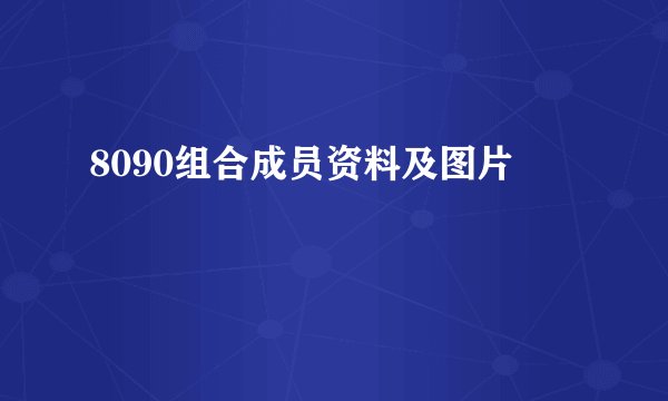 8090组合成员资料及图片