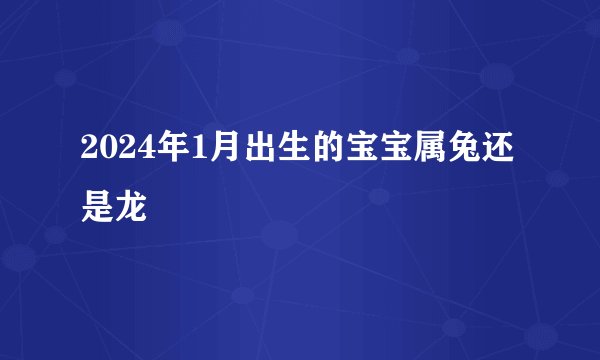 2024年1月出生的宝宝属兔还是龙