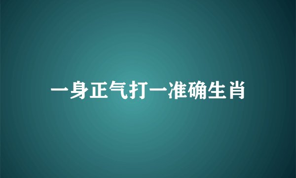 一身正气打一准确生肖