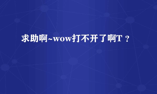 求助啊~wow打不开了啊T ？