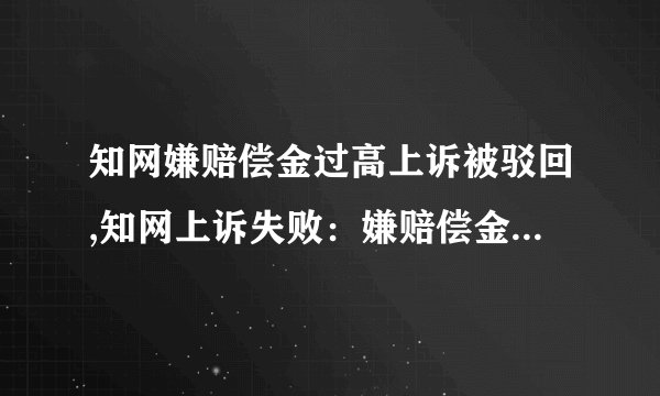 知网嫌赔偿金过高上诉被驳回,知网上诉失败：嫌赔偿金额过高遭驳回