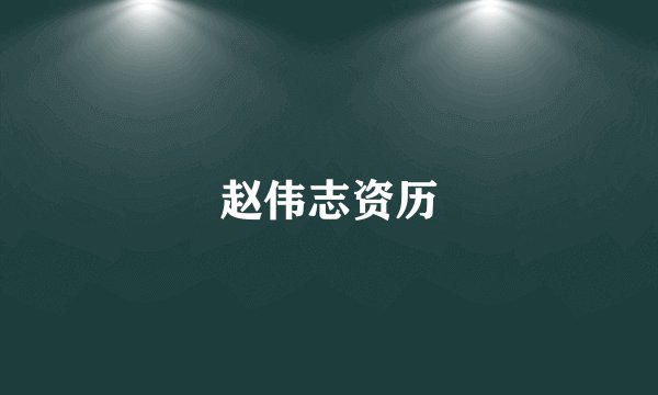 赵伟志资历