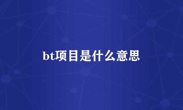 bt项目是什么意思