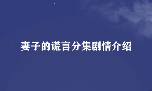 妻子的谎言分集剧情介绍