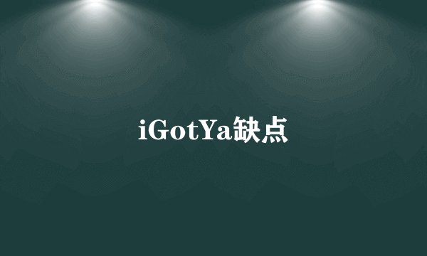 iGotYa缺点
