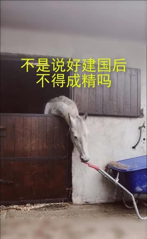 建国以后不许成精并不是玩笑,他背后隐藏的真相绝对超出你的认知