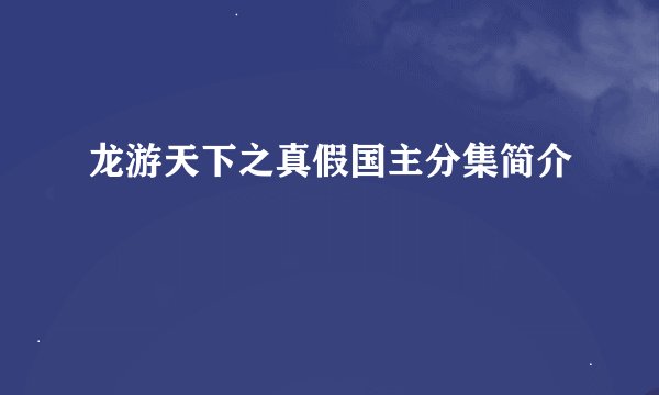 龙游天下之真假国主分集简介
