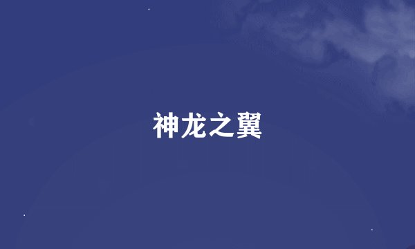 神龙之翼