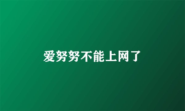 爱努努不能上网了