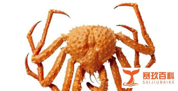 深圳买棕帝王蟹为什么便宜，多少钱？和红帝王蟹有什么区别？