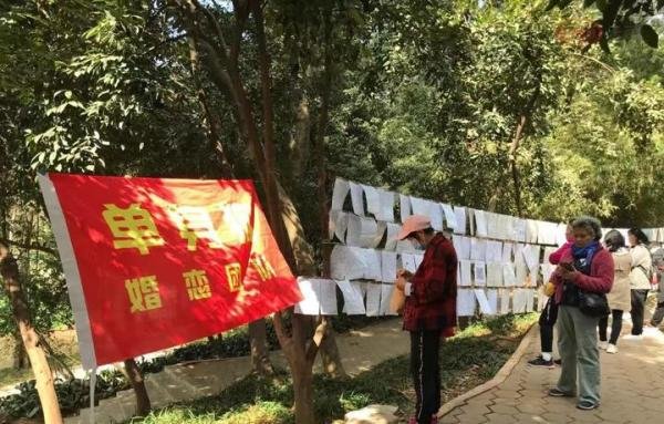 广州天河公园相亲角，单身男女的乐园