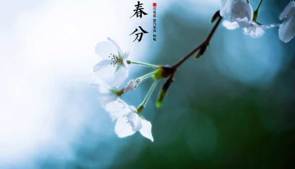 关于春分节气的古诗四句
