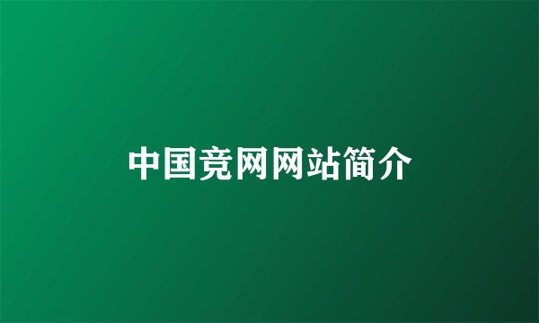 中国竞网网站简介
