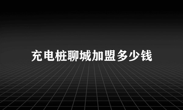 充电桩聊城加盟多少钱