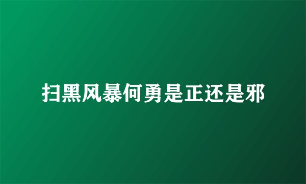 扫黑风暴何勇是正还是邪