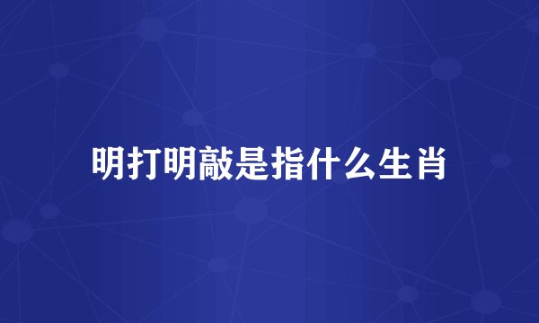 明打明敲是指什么生肖
