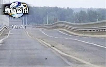 蛇形共振的介绍