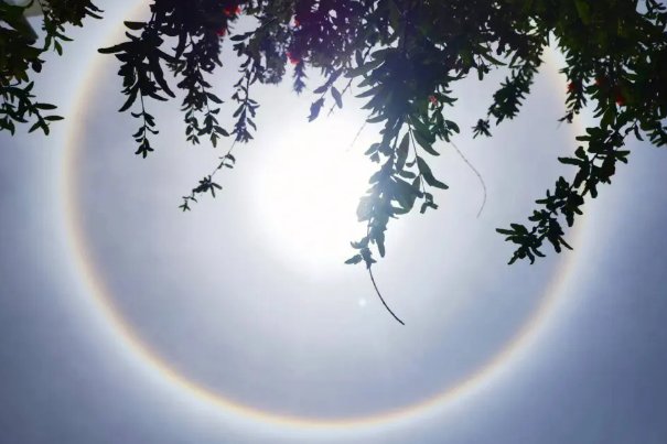 假如没有太阳世界会怎么样小练笔
