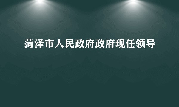 菏泽市人民政府政府现任领导