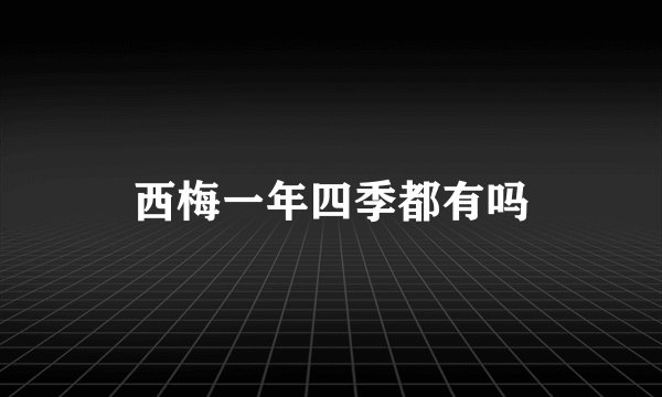 西梅一年四季都有吗