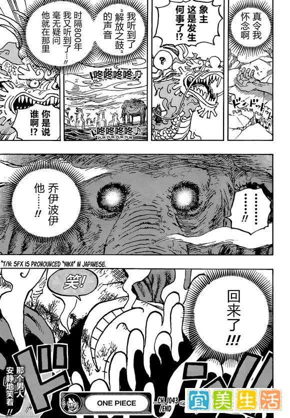 海贼王1043话汉化，路飞橡胶果实觉醒，乔伊波伊终于再次归来