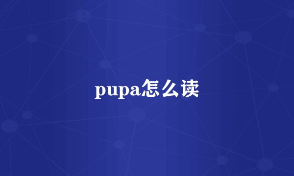 pupa怎么读