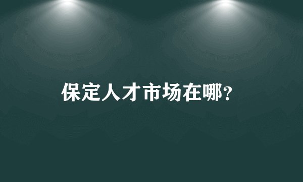 保定人才市场在哪？