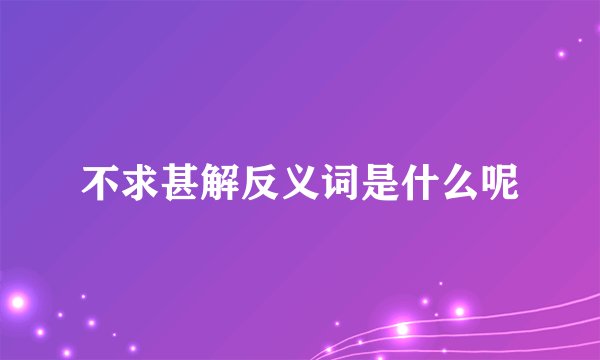 不求甚解反义词是什么呢