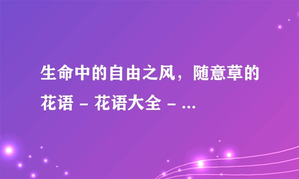 生命中的自由之风，随意草的花语 - 花语大全 - 盆栽百科网
