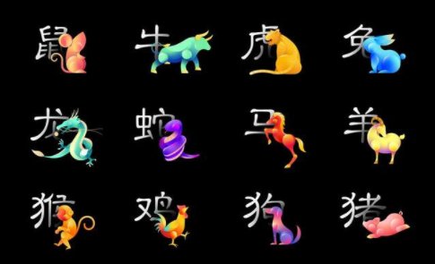 非同小可猜什么生肖