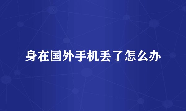 身在国外手机丢了怎么办