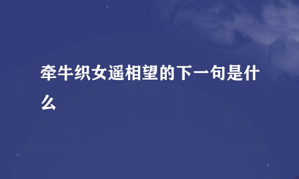 牵牛织女遥相望的下一句是什么