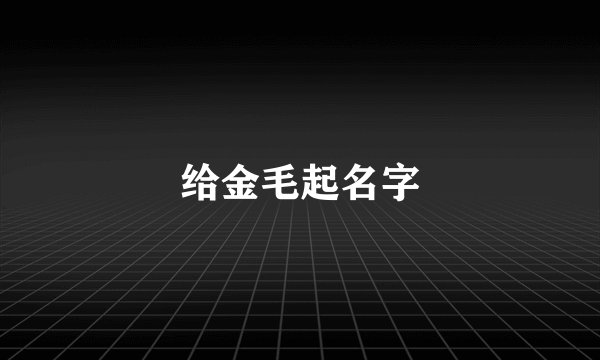 给金毛起名字